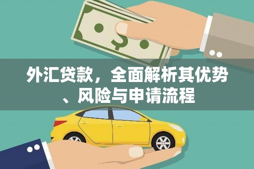 丹巴外汇贷款，全面解析其优势、风险与申请流程