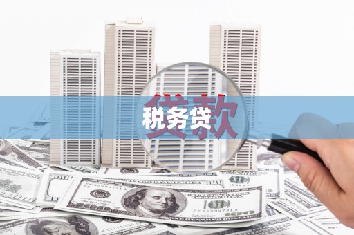 丹巴税务贷