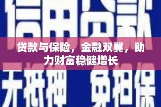 丹巴贷款与保险，金融双翼，助力财富稳健增长