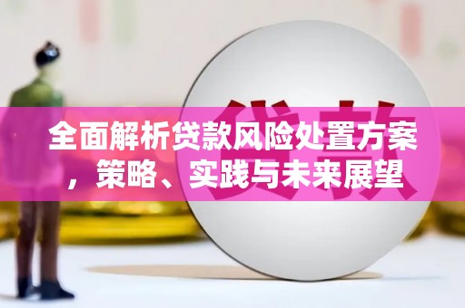 丹巴全面解析贷款风险处置方案，策略、实践与未来展望
