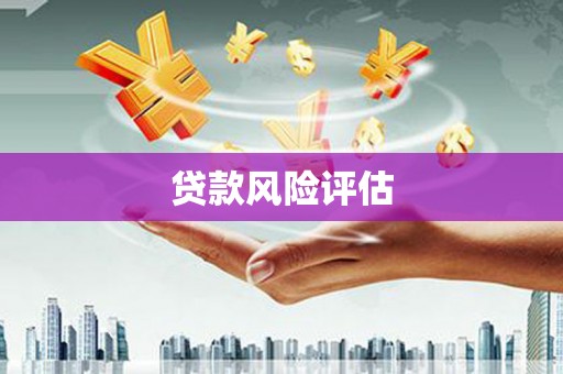 丹巴贷款风险评估