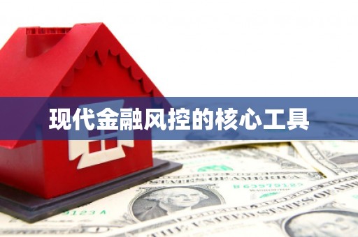 丹巴现代金融风控的核心工具