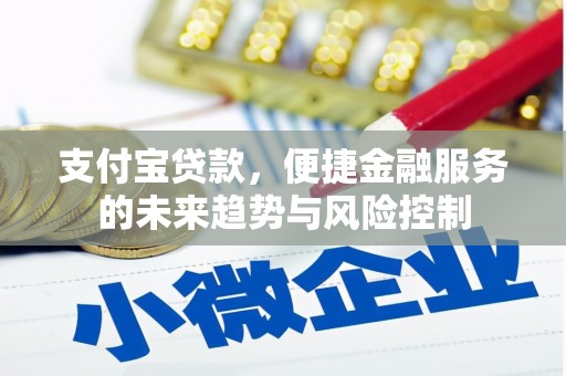丹巴支付宝贷款，便捷金融服务的未来趋势与风险控制