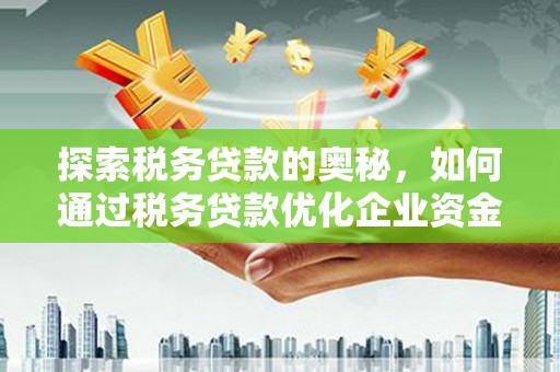 丹巴探索税务贷款的奥秘，如何通过税务贷款优化企业资金流