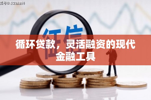 丹巴循环贷款，灵活融资的现代金融工具