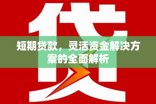 丹巴短期贷款，灵活资金解决方案的全面解析