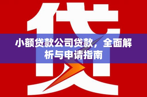 丹巴小额贷款公司贷款，全面解析与申请指南