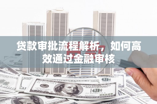 丹巴贷款审批流程解析，如何高效通过金融审核