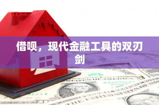 丹巴借呗，现代金融工具的双刃剑