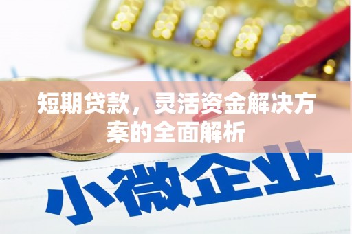 丹巴短期贷款，灵活资金解决方案的全面解析