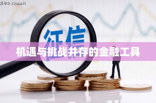 丹巴机遇与挑战并存的金融工具