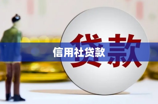 丹巴信用社贷款