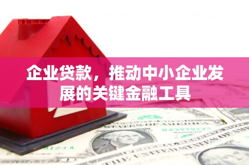 丹巴企业贷款，推动中小企业发展的关键金融工具