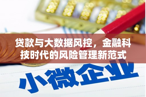丹巴贷款与大数据风控，金融科技时代的风险管理新范式