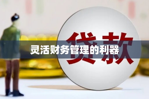 丹巴灵活财务管理的利器