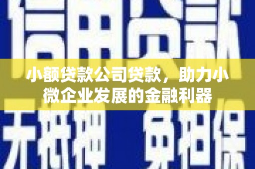 丹巴小额贷款公司贷款，助力小微企业发展的金融利器