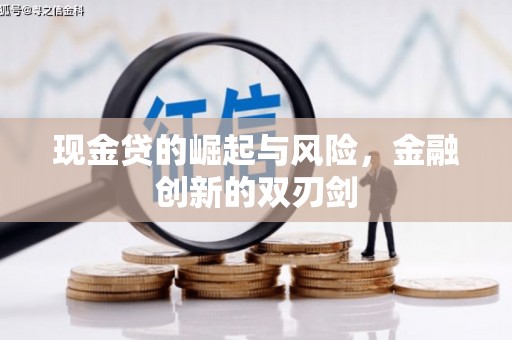 丹巴现金贷的崛起与风险，金融创新的双刃剑