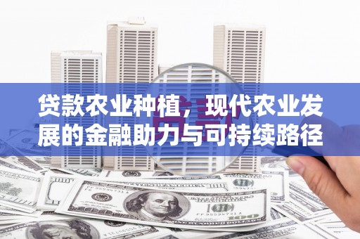 丹巴贷款农业种植，现代农业发展的金融助力与可持续路径