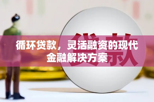 丹巴循环贷款，灵活融资的现代金融解决方案