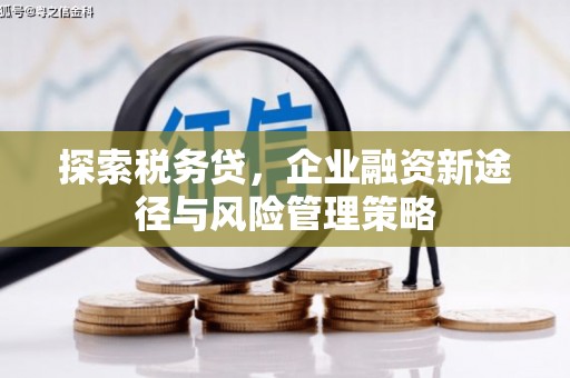 丹巴探索税务贷，企业融资新途径与风险管理策略