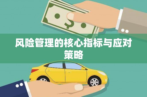 丹巴风险管理的核心指标与应对策略