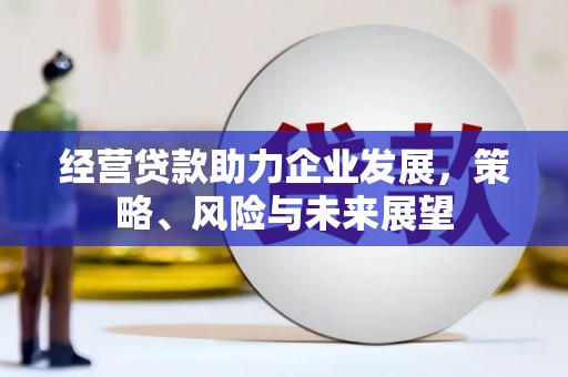 丹巴经营贷款助力企业发展，策略、风险与未来展望