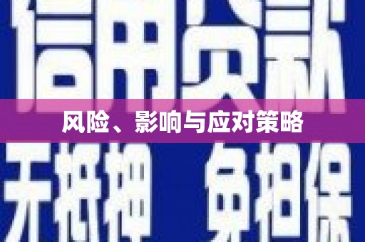 丹巴风险、影响与应对策略