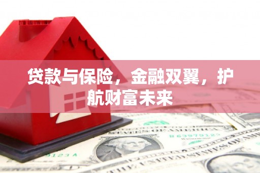 丹巴贷款与保险，金融双翼，护航财富未来