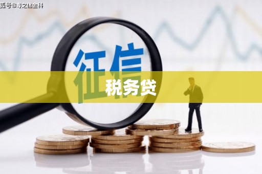 丹巴税务贷