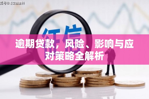 丹巴逾期贷款，风险、影响与应对策略全解析