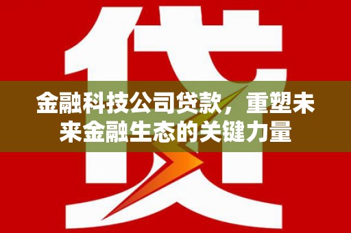 丹巴金融科技公司贷款，重塑未来金融生态的关键力量
