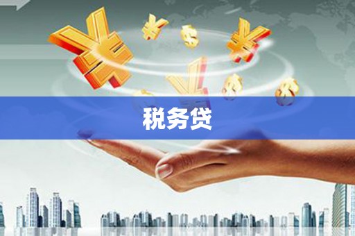 丹巴税务贷