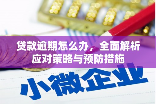 丹巴贷款逾期怎么办，全面解析应对策略与预防措施