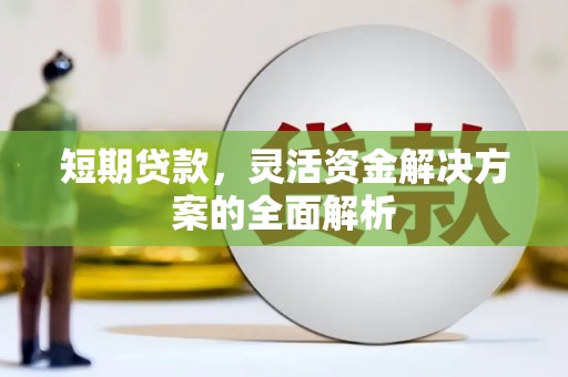丹巴短期贷款，灵活资金解决方案的全面解析