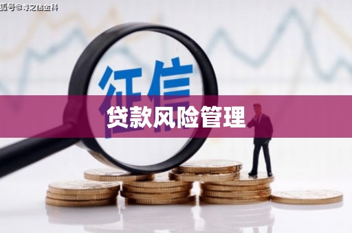 丹巴贷款风险管理