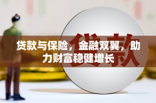 丹巴贷款与保险，金融双翼，助力财富稳健增长