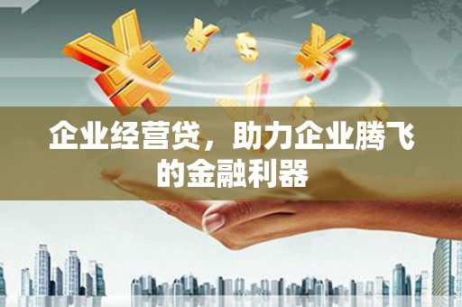 丹巴企业经营贷，助力企业腾飞的金融利器