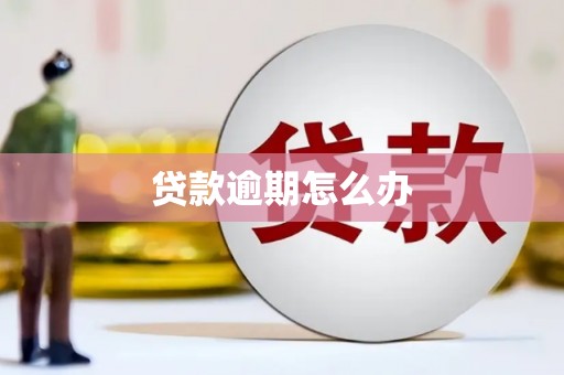 丹巴贷款逾期怎么办