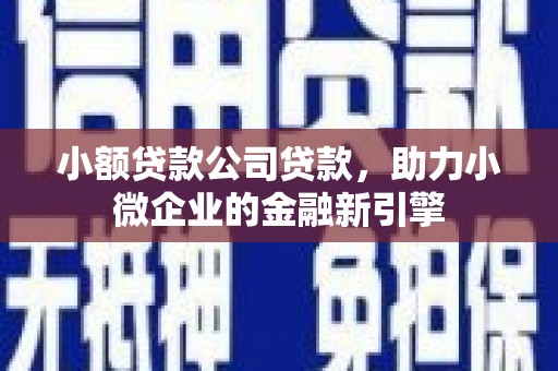 丹巴小额贷款公司贷款，助力小微企业的金融新引擎