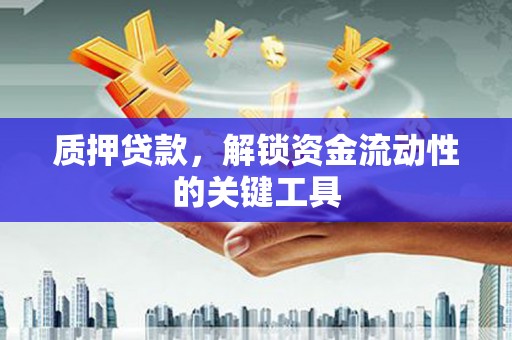 丹巴质押贷款，解锁资金流动性的关键工具
