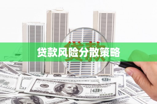 丹巴贷款风险分散策略