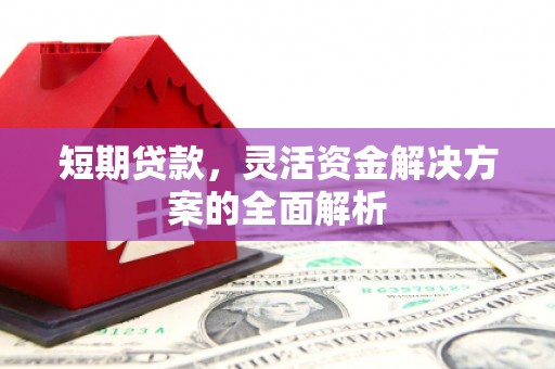 丹巴短期贷款，灵活资金解决方案的全面解析