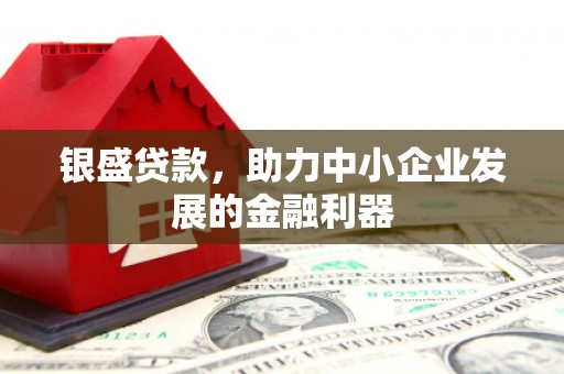 丹巴银盛贷款，助力中小企业发展的金融利器