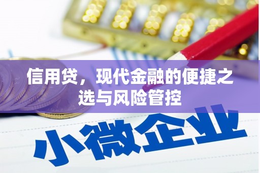 丹巴信用贷，现代金融的便捷之选与风险管控
