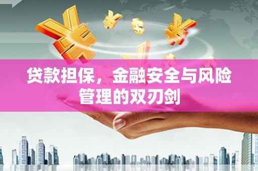 丹巴贷款担保，金融安全与风险管理的双刃剑