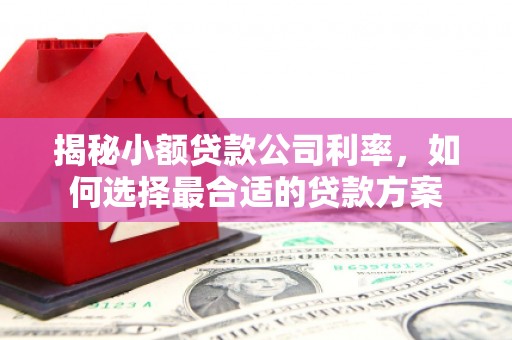 丹巴揭秘小额贷款公司利率，如何选择最合适的贷款方案