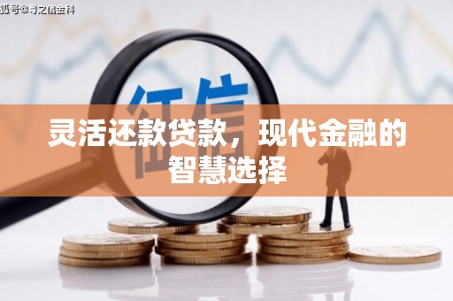 丹巴灵活还款贷款，现代金融的智慧选择