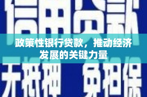 丹巴政策性银行贷款，推动经济发展的关键力量