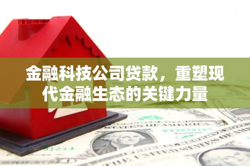 丹巴金融科技公司贷款，重塑现代金融生态的关键力量