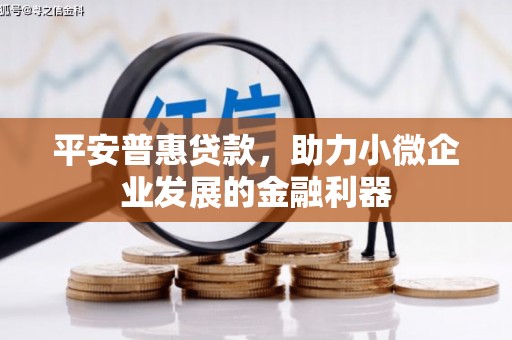 丹巴平安普惠贷款，助力小微企业发展的金融利器
